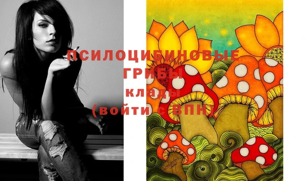 каннабис Арсеньев